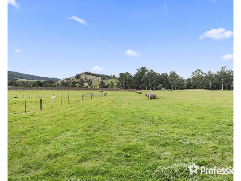 1948 Melba Highway, Dixons Creek VIC 3775
