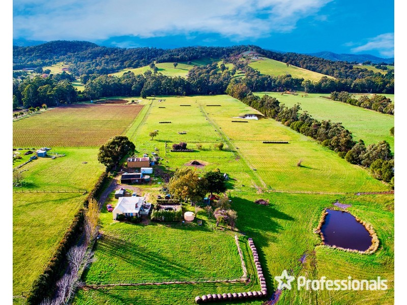 1948 Melba Highway, Dixons Creek VIC 3775