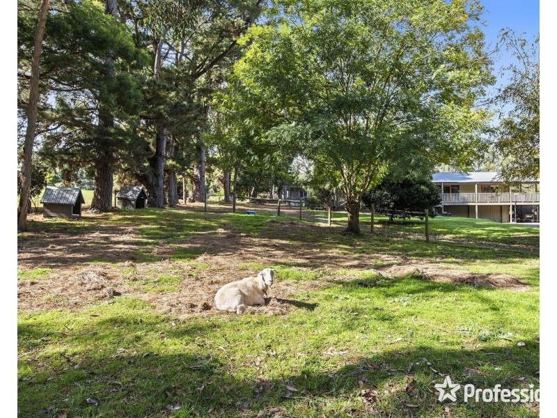 22 Bailey Grove, Wandin North VIC 3139