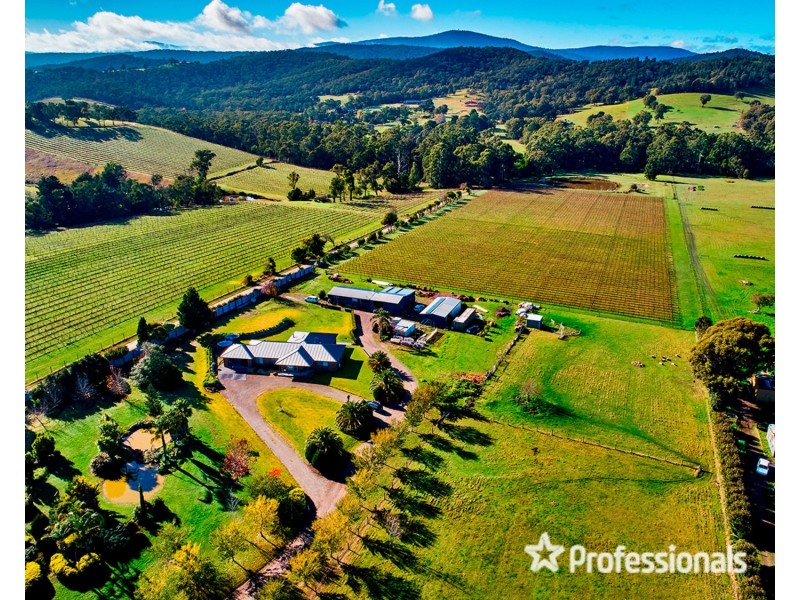 1952 Melba Highway, Dixons Creek VIC 3775