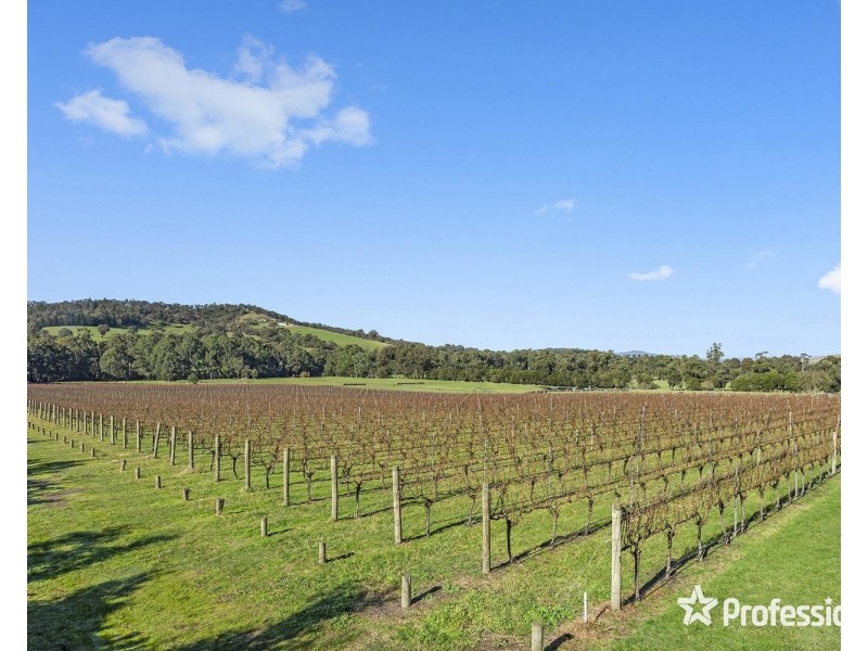 1952 Melba Highway, Dixons Creek VIC 3775