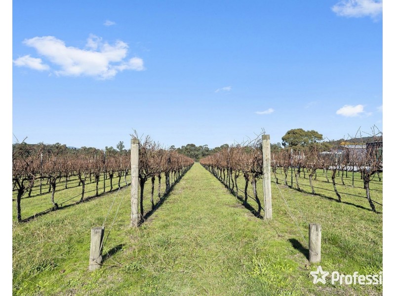 1952 Melba Highway, Dixons Creek VIC 3775