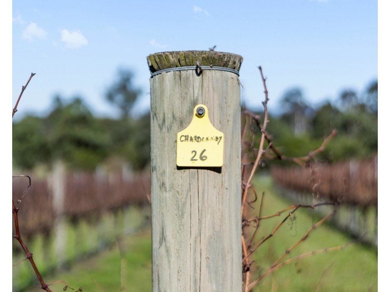 1952 Melba Highway, Dixons Creek VIC 3775