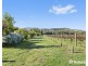 1952 Melba Highway, Dixons Creek VIC 3775