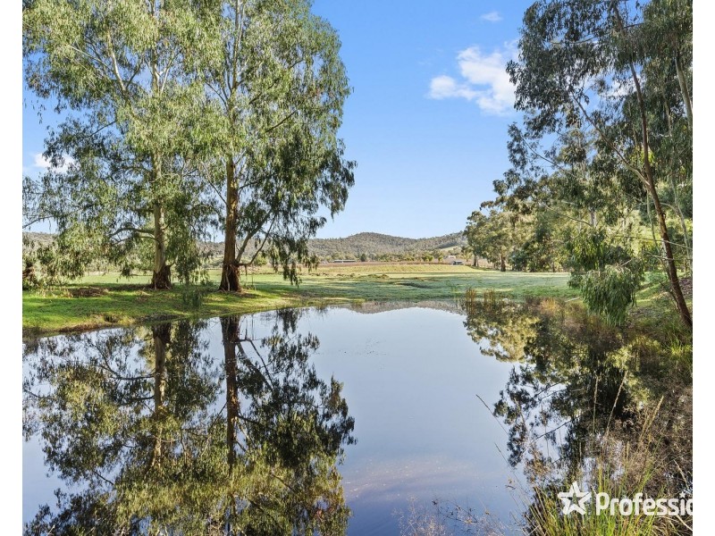 1952 Melba Highway, Dixons Creek VIC 3775