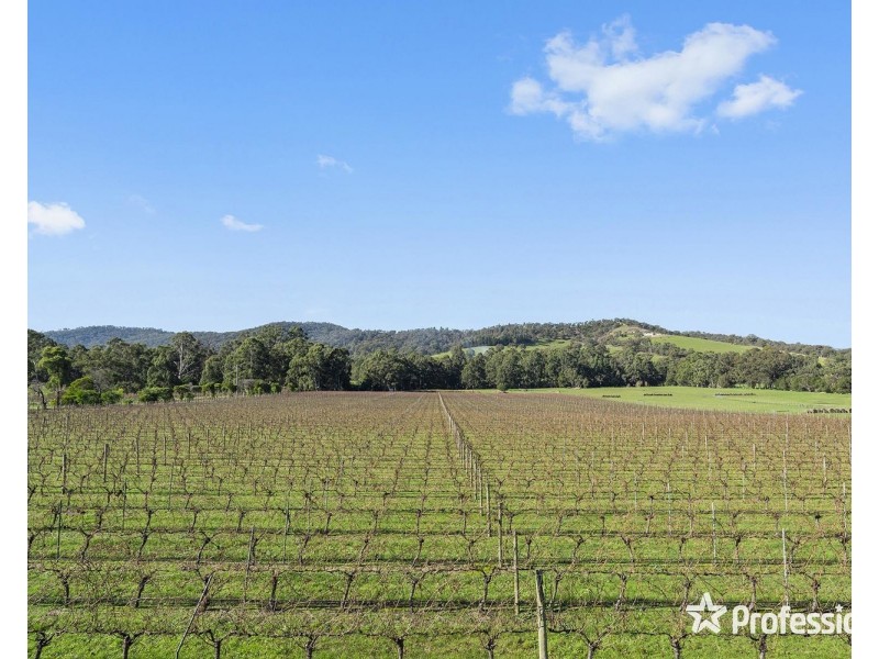 1952 Melba Highway, Dixons Creek VIC 3775