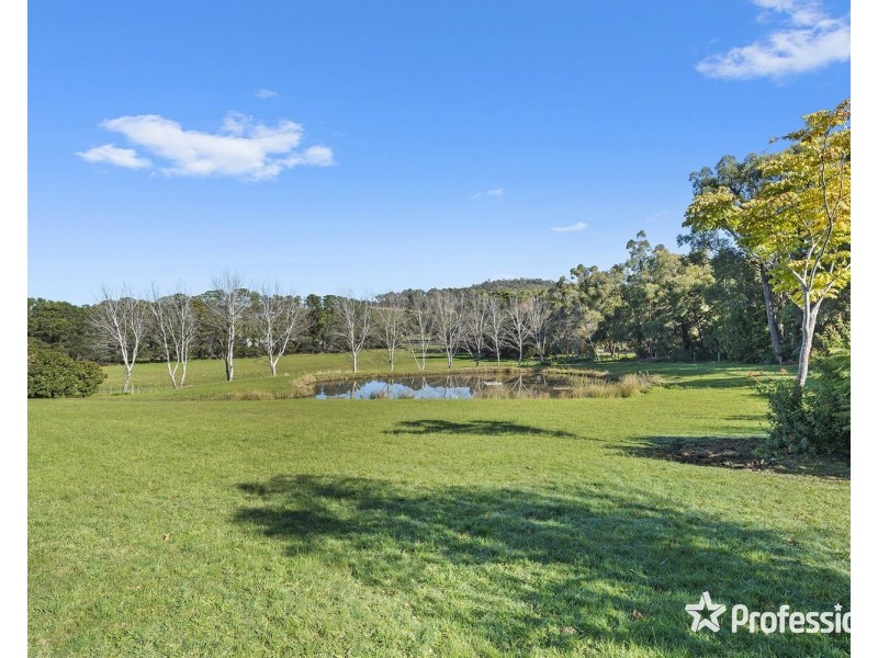 1952 Melba Highway, Dixons Creek VIC 3775