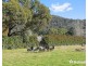1952 Melba Highway, Dixons Creek VIC 3775