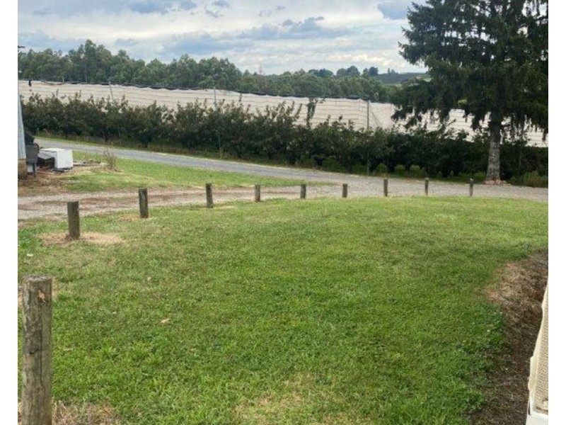 141 Beenak Road, Wandin North VIC 3139