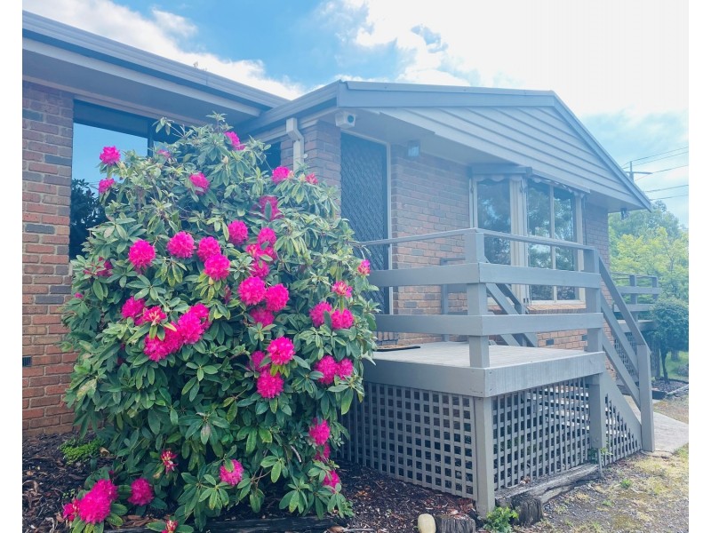 408 Clegg Road, Wandin North VIC 3139