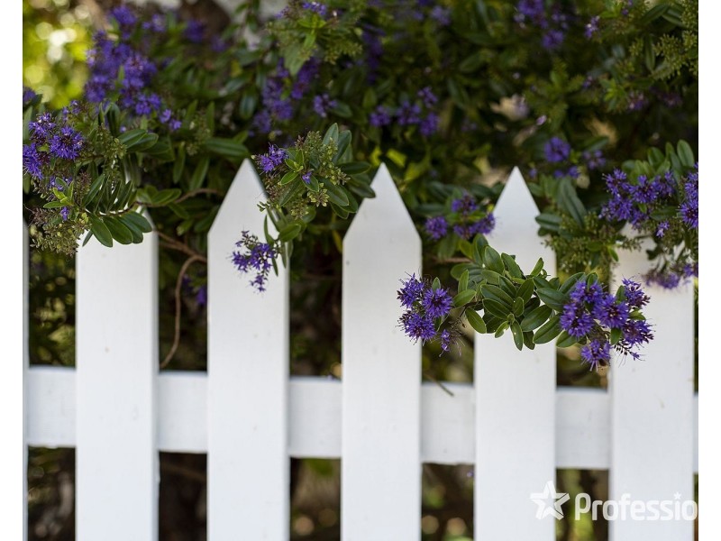 23 Oliver Street, Yarra Glen VIC 3775