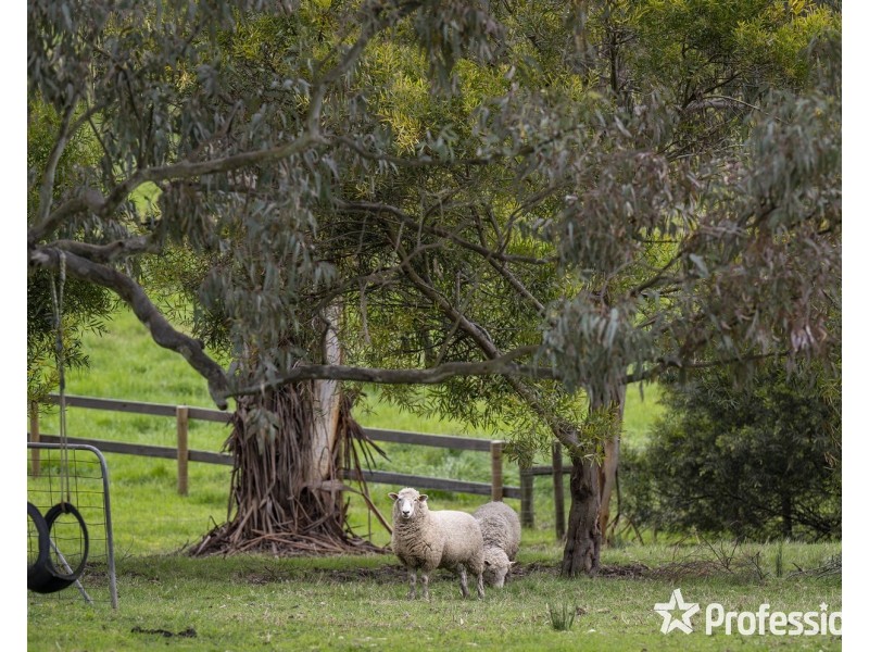 29 Magnolia Close, Yarra Glen VIC 3775