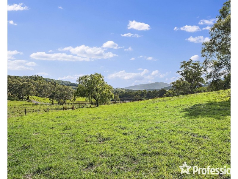 660 Gembrook-Launching Place Road, Hoddles Creek VIC 3139