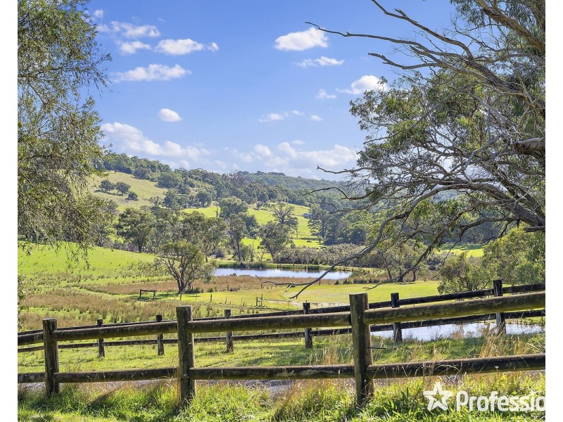 660 Gembrook-Launching Place Road, Hoddles Creek VIC 3139