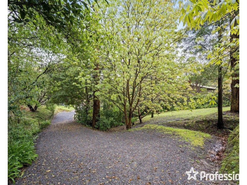 11 Clematis Road, Mount Evelyn VIC 3796