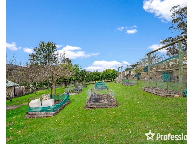 609  Chum Creek Road, Chum Creek VIC 3777