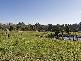 35 Beenak  Road, Wandin North VIC 3139