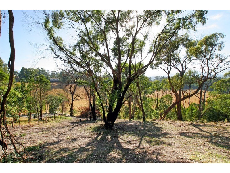 Lot 49 Gepp Road, Healesville VIC 3777