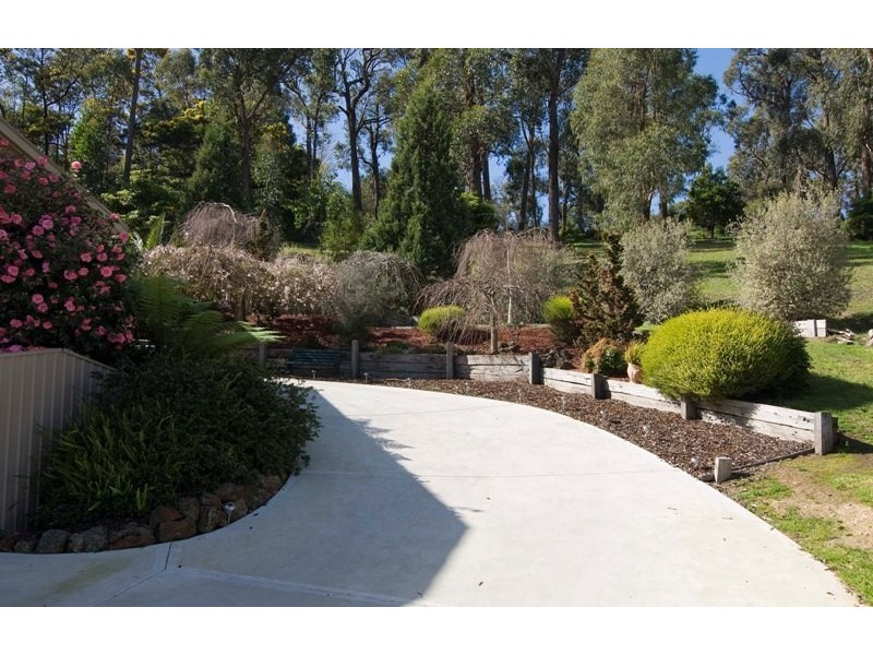 Healesville VIC 3777