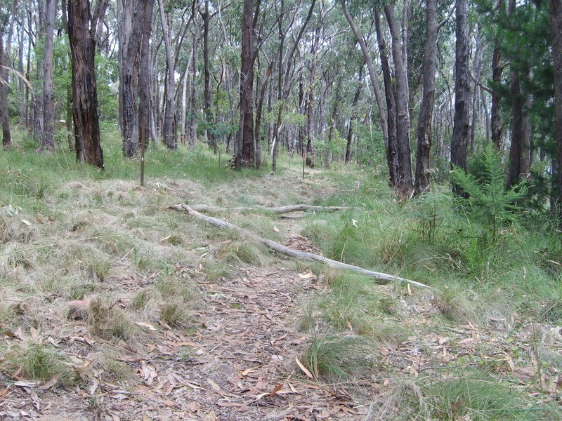 6 Hillcrest Road, Gruyere VIC 3770