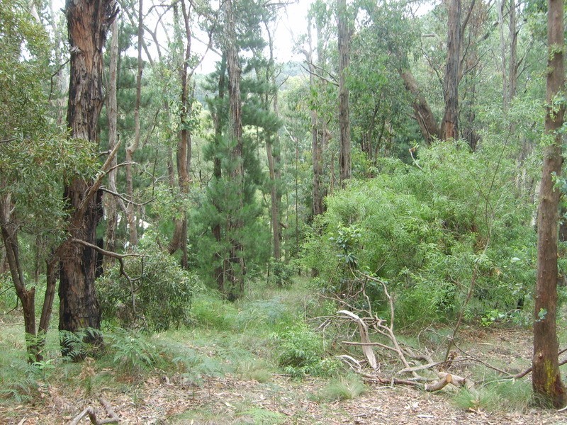 6 Hillcrest Road, Gruyere VIC 3770