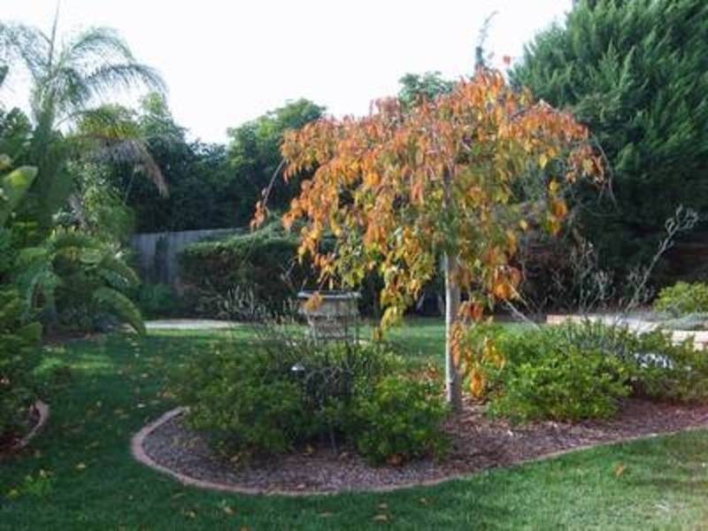 7 Valley View Court, Lilydale VIC 3140
