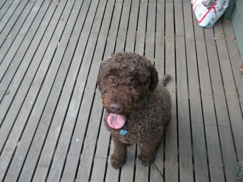 107 Commercial Road, Mount Evelyn VIC 3796