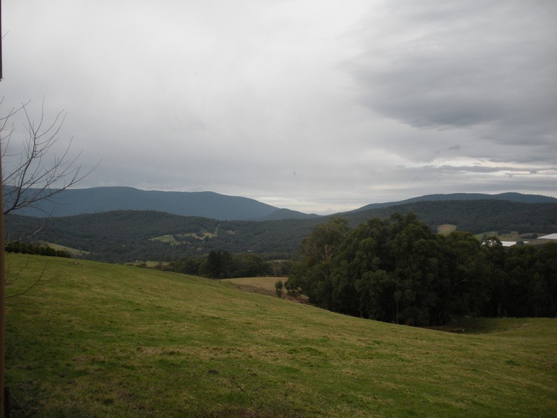 485a Lusatia Park Road, Hoddles Creek VIC 3139