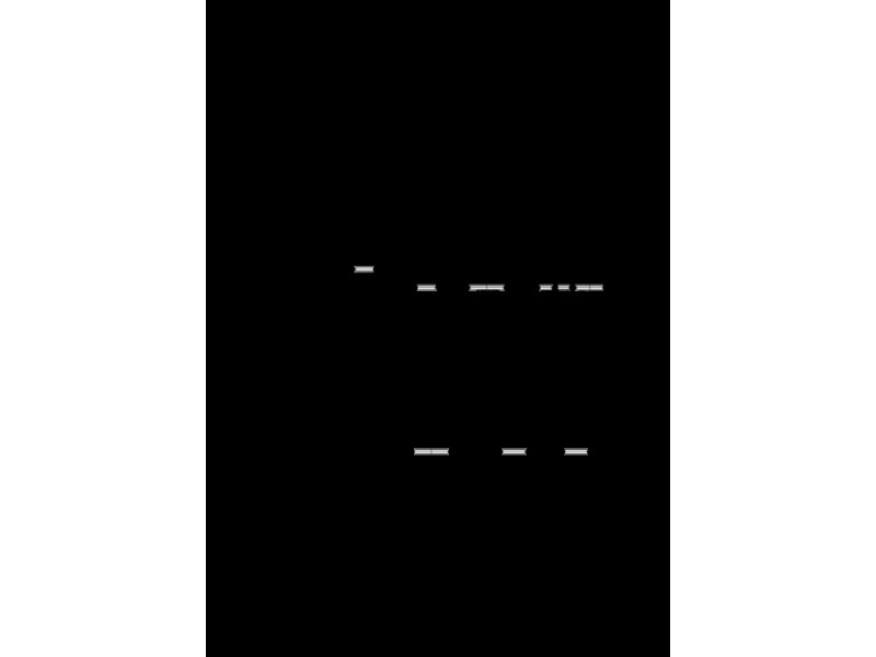 47/79 Bayswater Road, Croydon VIC 3136