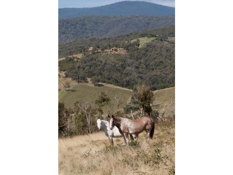 2029 Melba Highway, Dixons Creek VIC 3775