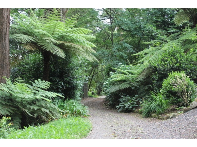 33 Yarrabee  Road, Olinda VIC 3788