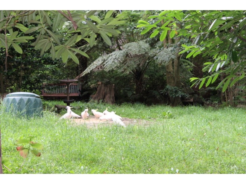 33 Yarrabee  Road, Olinda VIC 3788