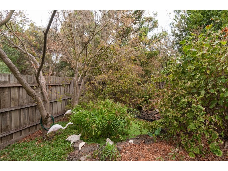 52 Rolloway Rise, Chirnside Park VIC 3116