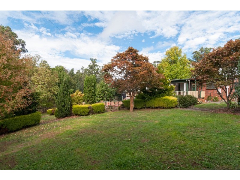 505 Lusatia Park Road, Hoddles Creek VIC 3139