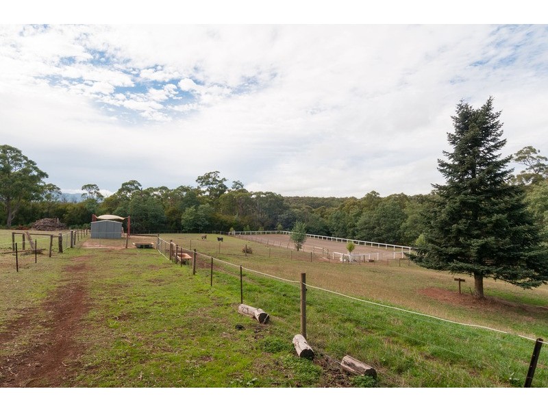 505 Lusatia Park Road, Hoddles Creek VIC 3139
