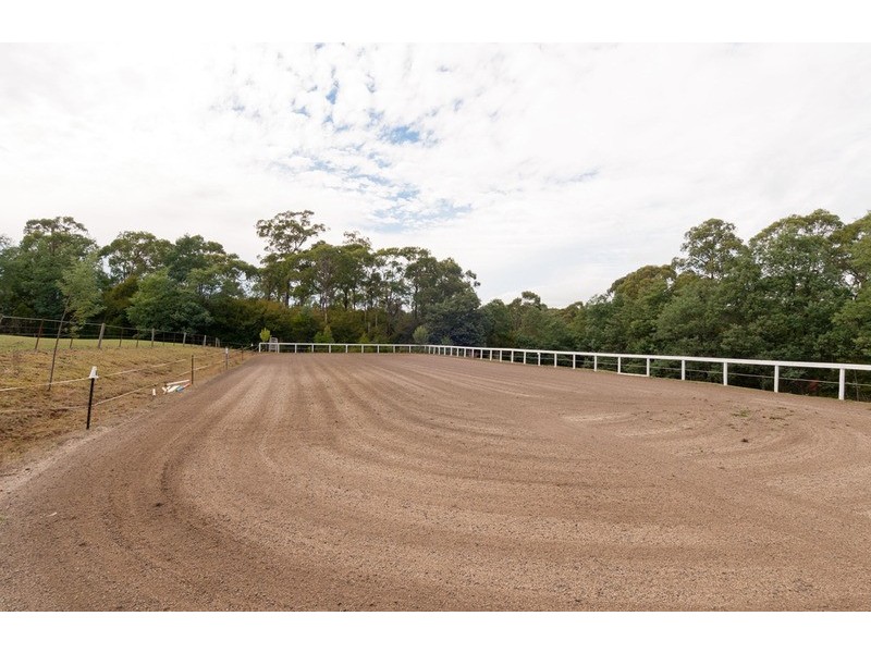 505 Lusatia Park Road, Hoddles Creek VIC 3139