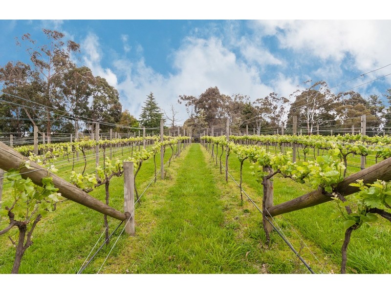 631 Victoria Road, Seville VIC 3139