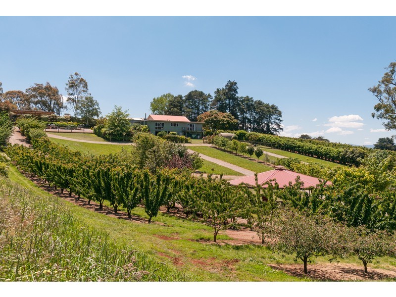 470 Queens Road, Wandin East VIC 3139