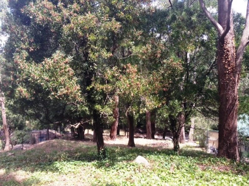 43 Forge Road, Mount Evelyn VIC 3796