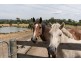 850-856 Warburton Highway, Seville East VIC 3139