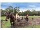 14 Coopers Road, Macclesfield VIC 3782