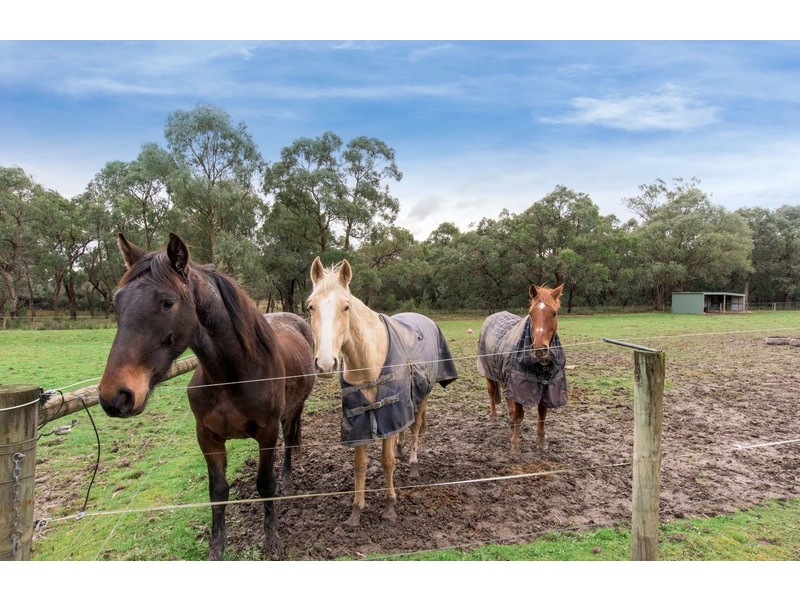 14 Coopers Road, Macclesfield VIC 3782