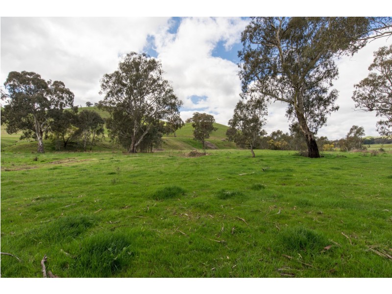 150 Gordons Street, Alexandra VIC 3714