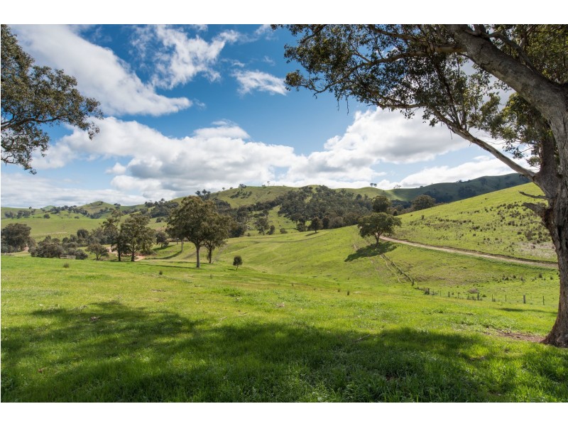 150 Gordons Street, Alexandra VIC 3714