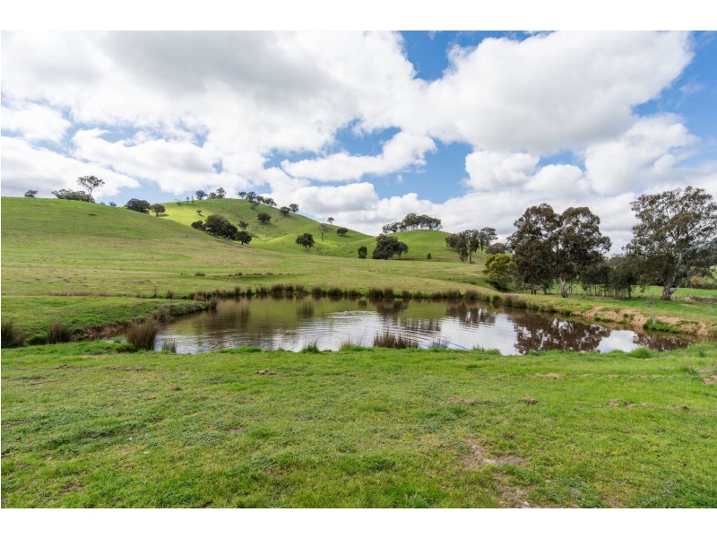 150 Gordons Street, Alexandra VIC 3714