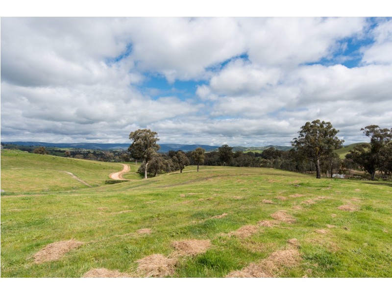 150 Gordons Street, Alexandra VIC 3714