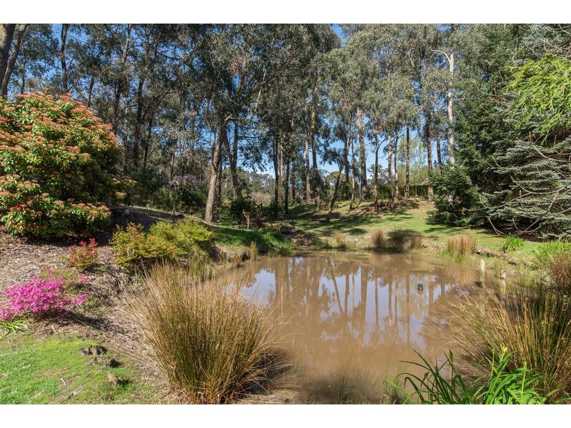 50 Wattle Court, Castella VIC 3777
