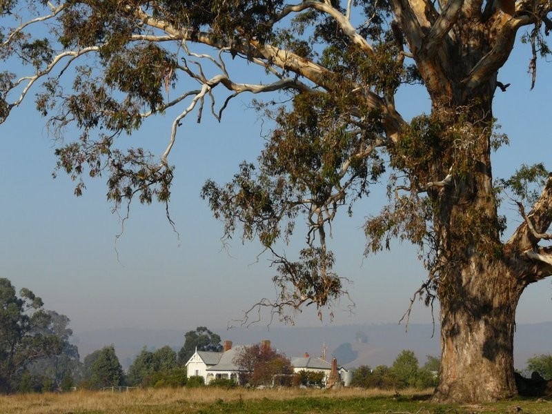 3915 Maroondah Highway, Acheron VIC 3714