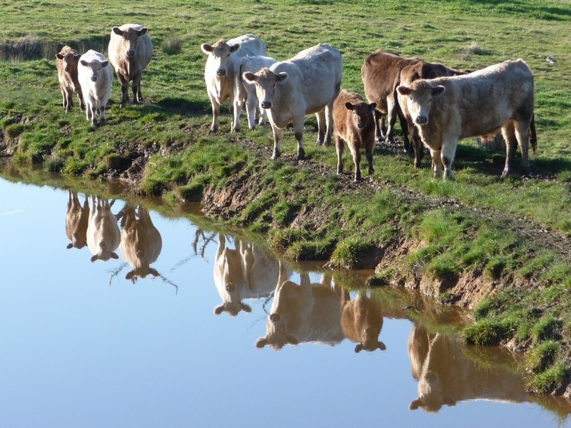 3915 Maroondah Highway, Acheron VIC 3714