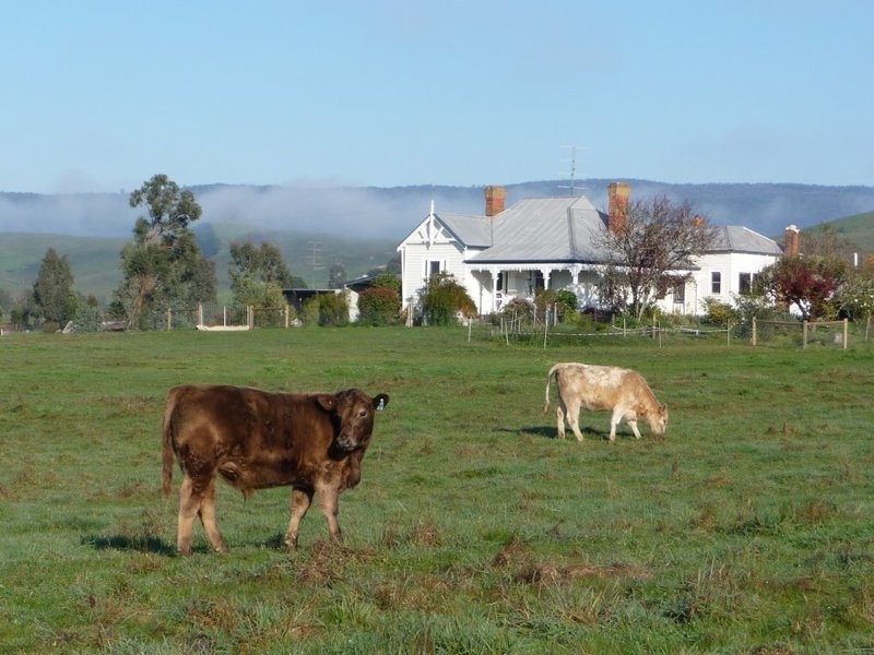 3915 Maroondah Highway, Acheron VIC 3714